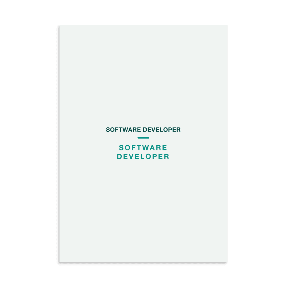 Software Developer Poster — SOFTWARE DEVELOPER