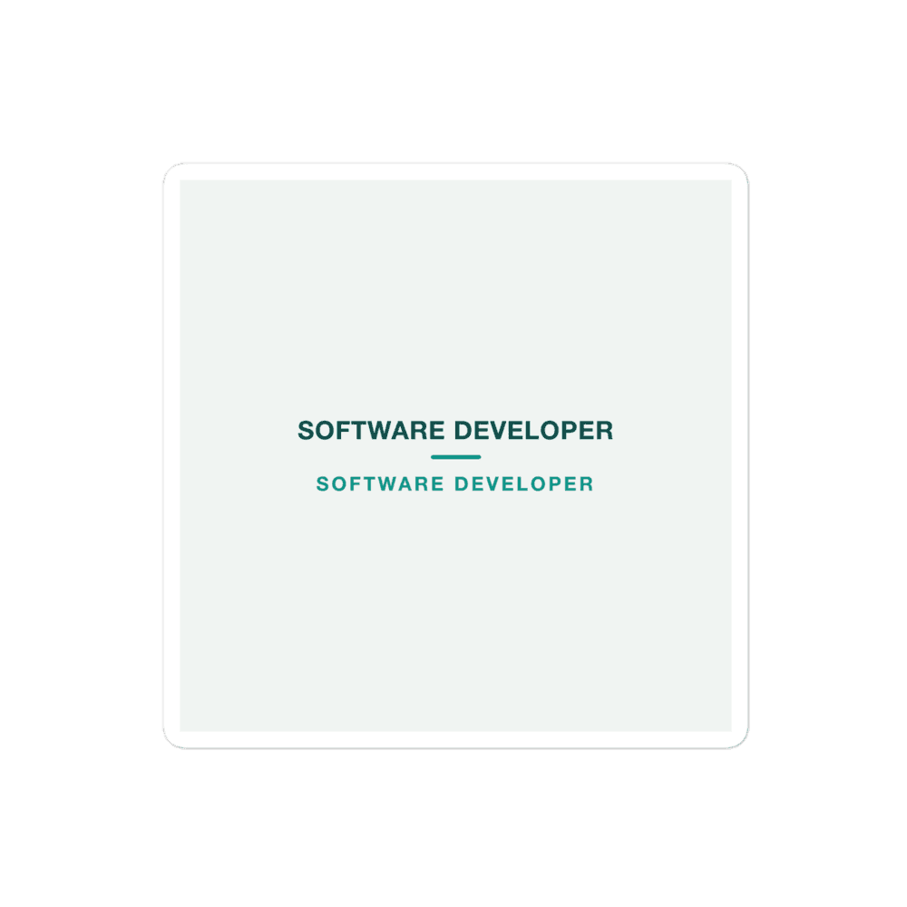 Software Developer Sticker — SOFTWARE DEVELOPER